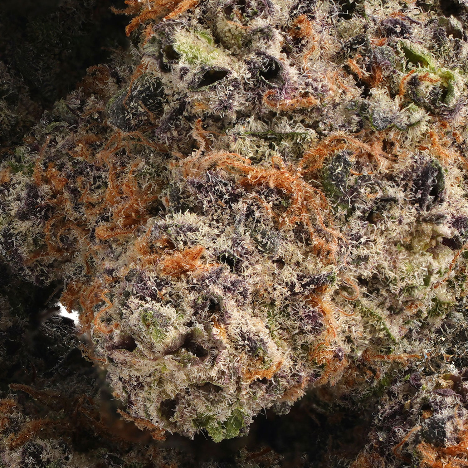 Buy Park Fire OG Online In Ireland