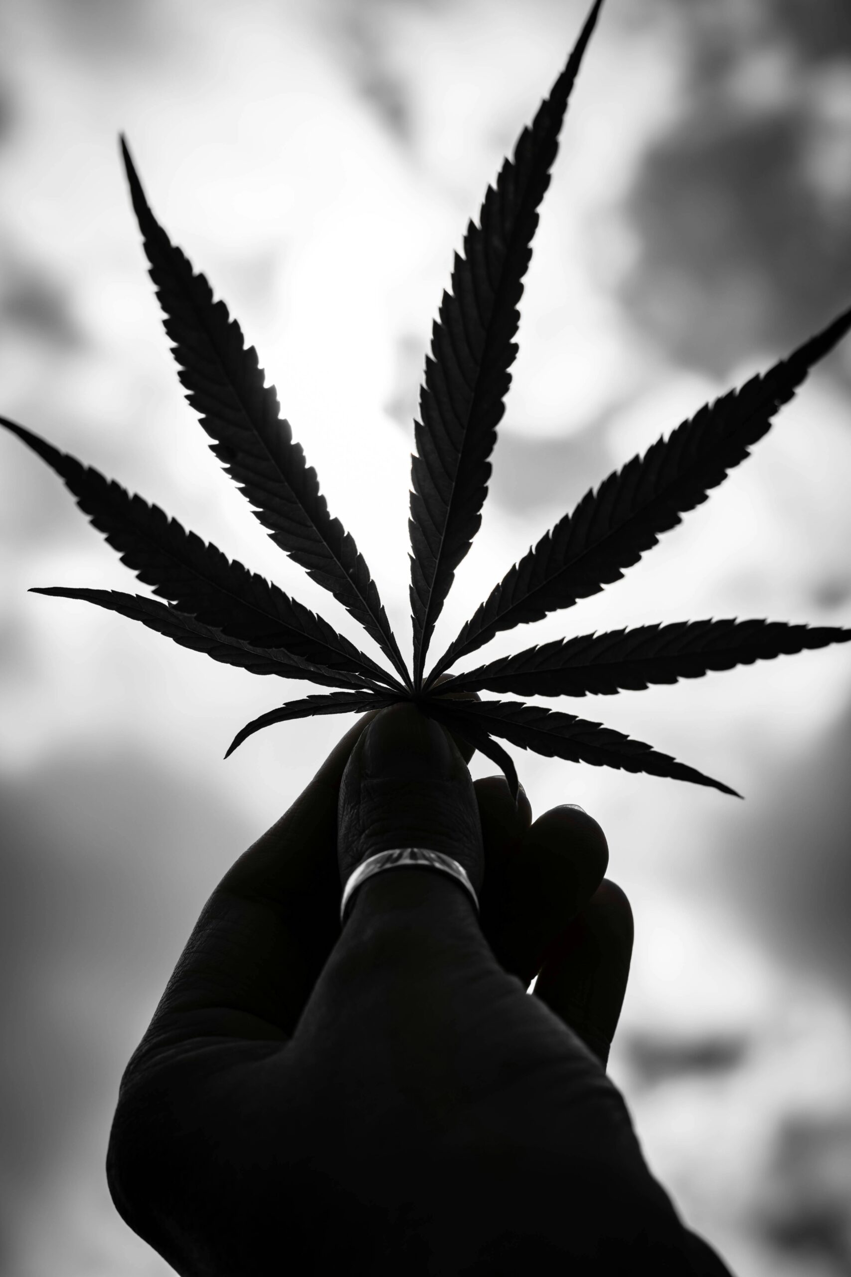 Buy Weed Online In Ireland