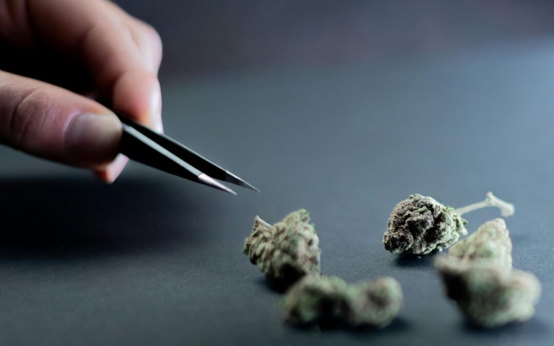 Buy weed online Ireland